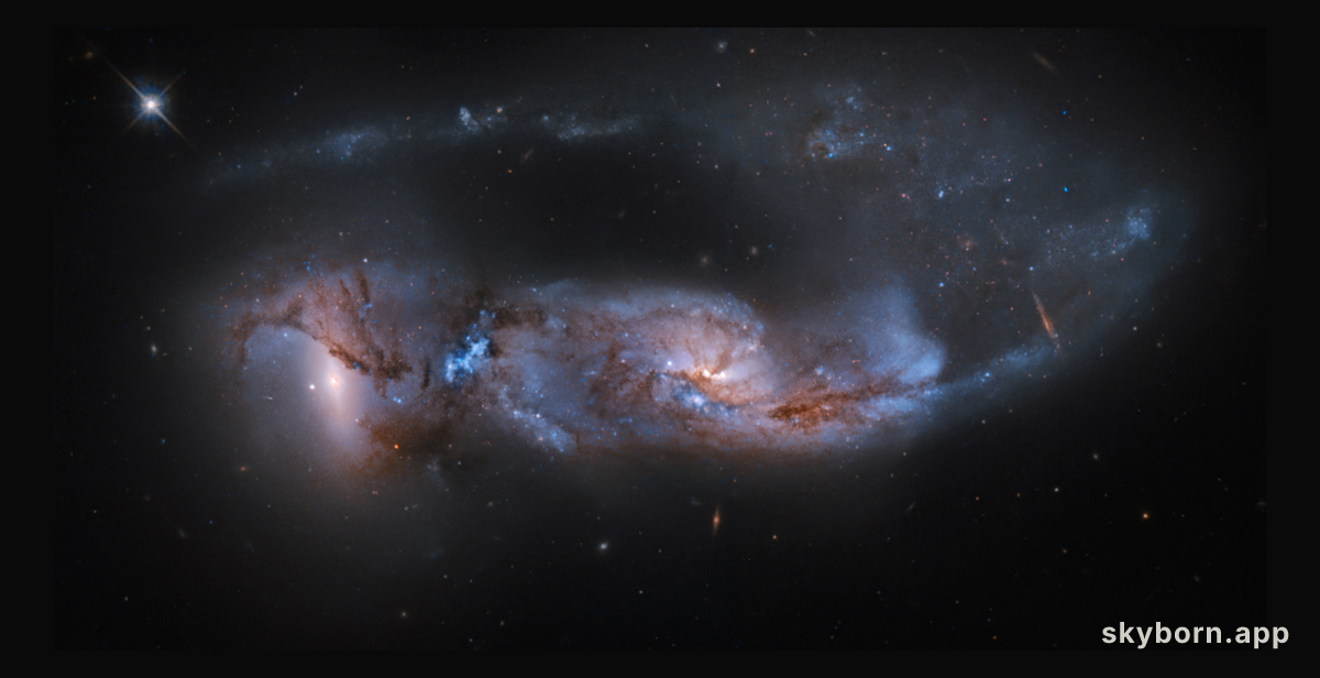 Arp 81: 100 Million Years Later