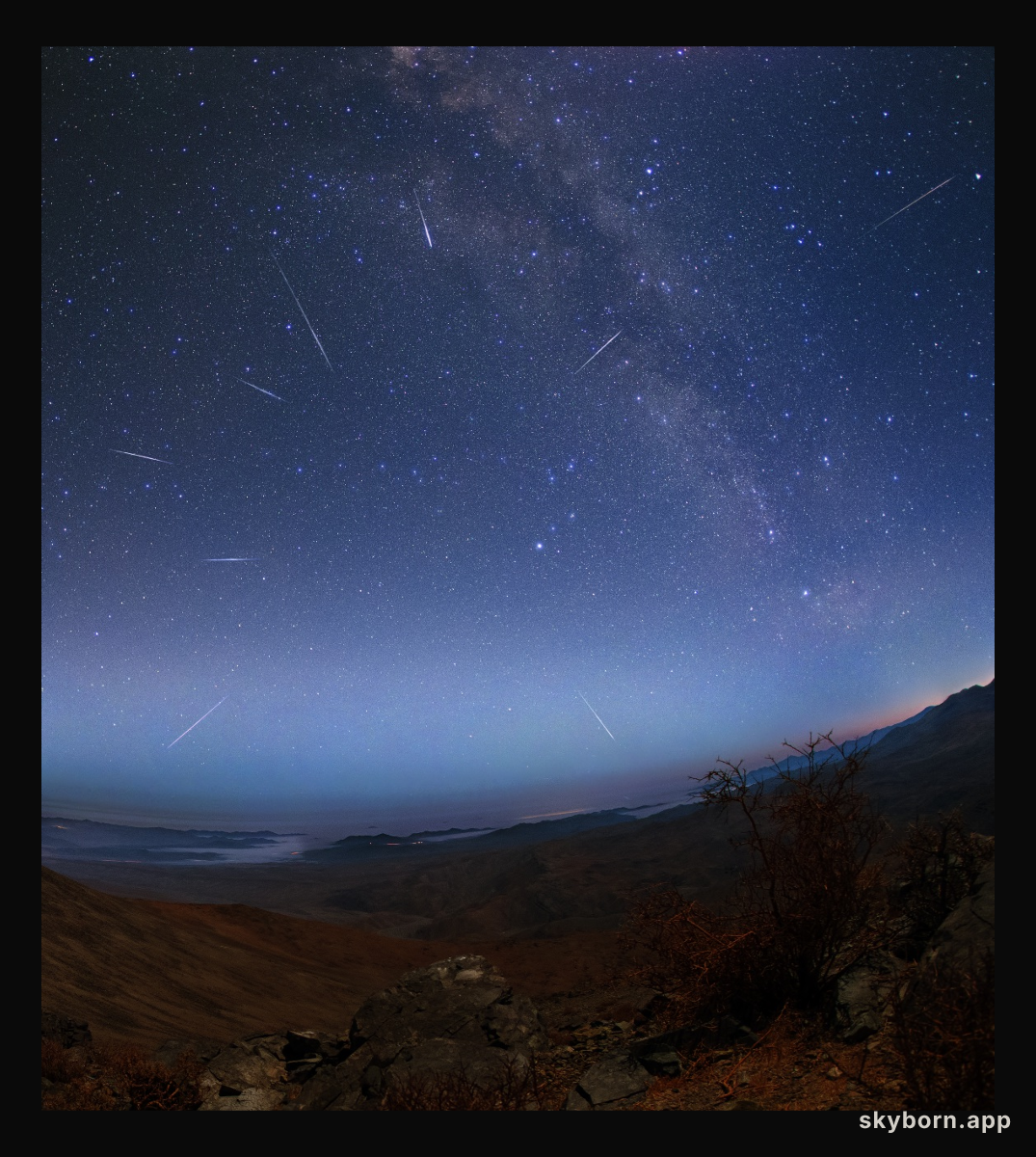Lyrids in Southern Skies