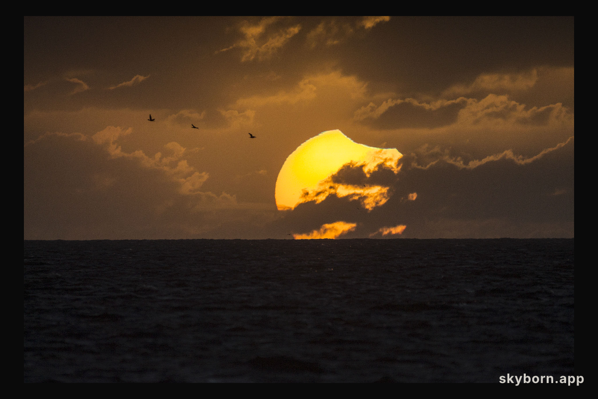 A Partially Eclipsed Setting Sun