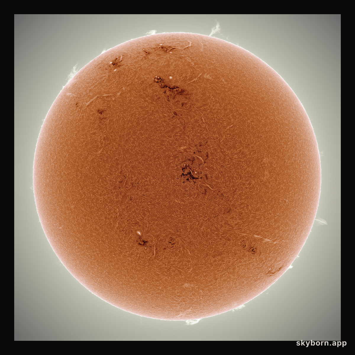 Orange Sun Sparking