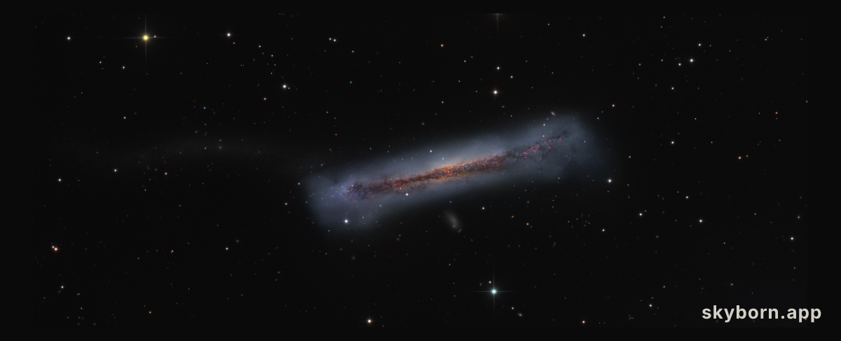 The Tail of the Hamburger Galaxy