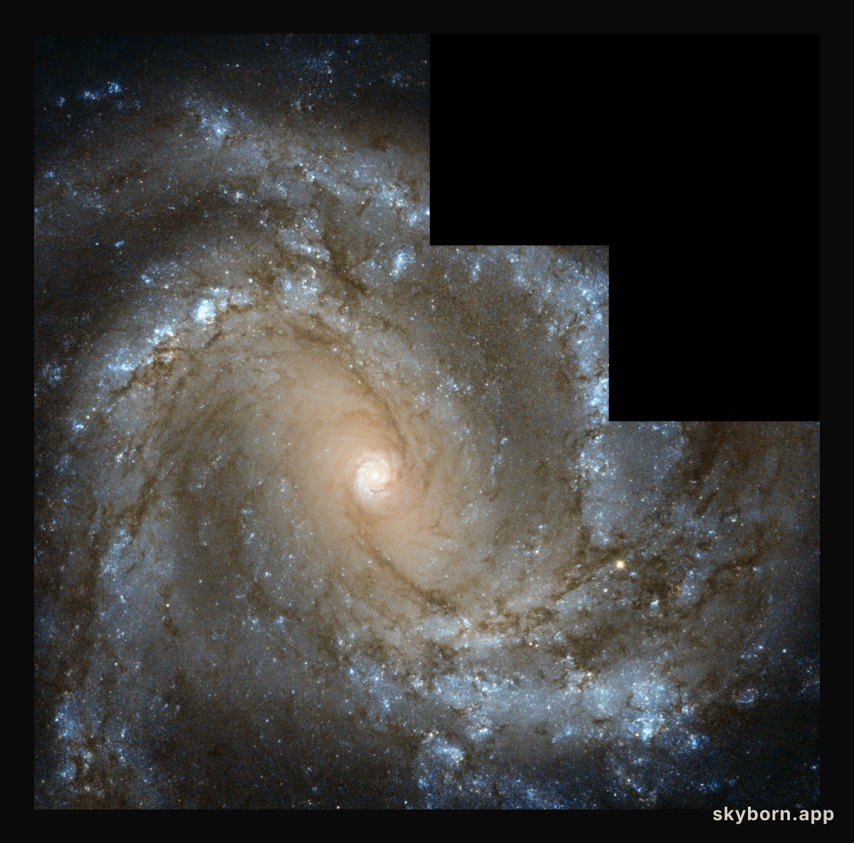 In the Center of Spiral Galaxy M61