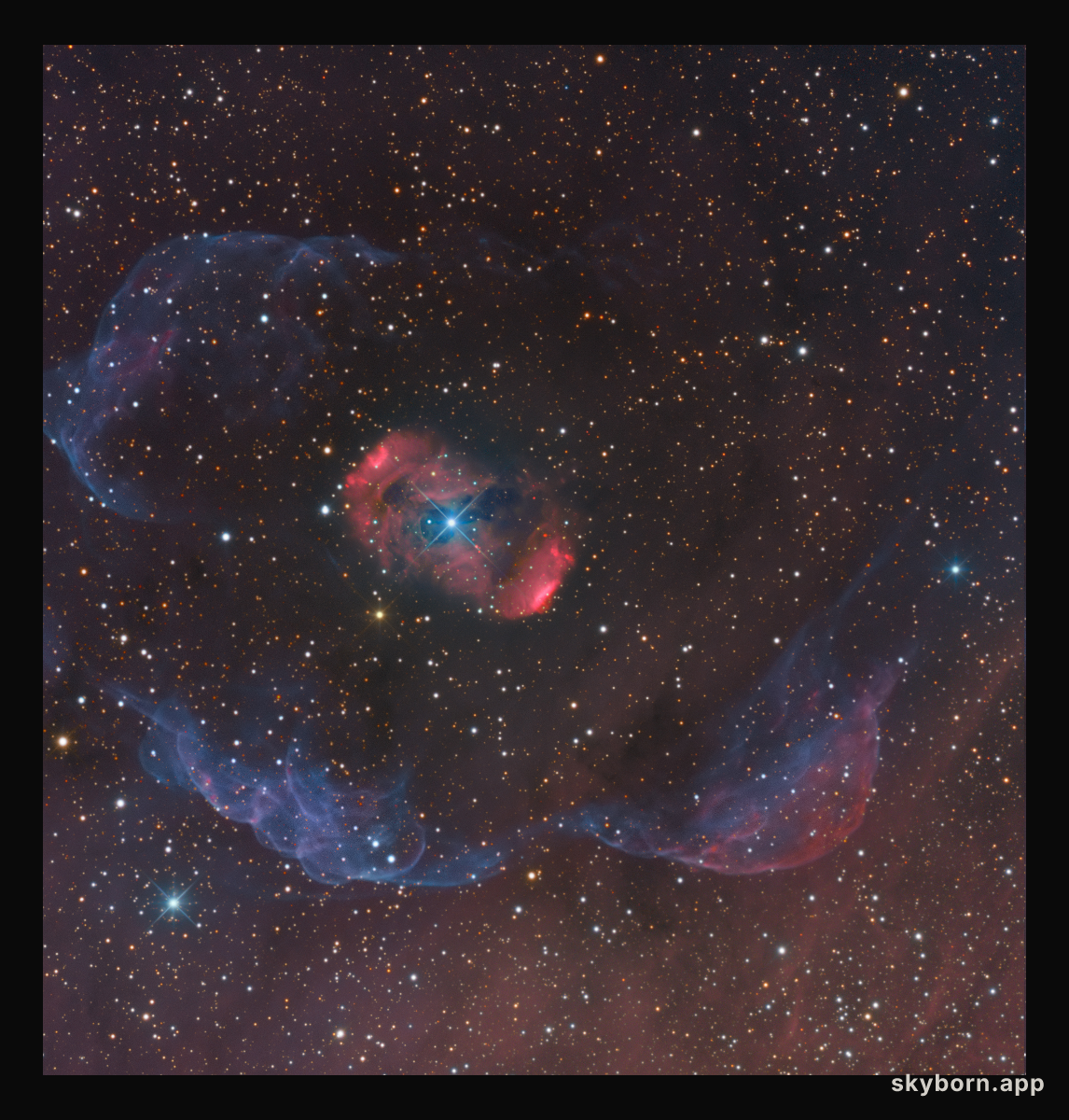 A Halo for NGC 6164