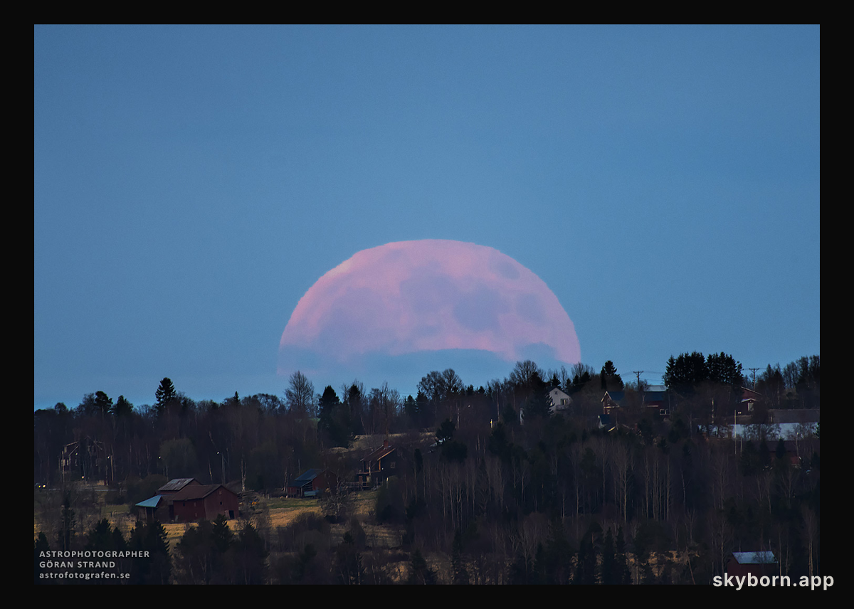 A Strawberry Moon