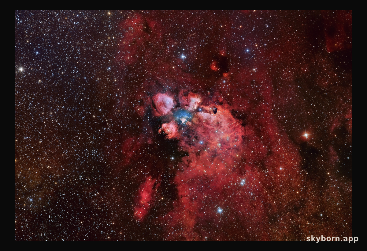 NGC 6334: The Cat's Paw Nebula