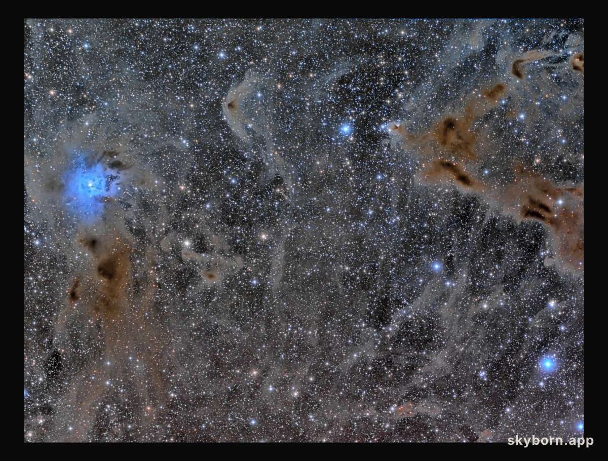 The Iris Nebula in a Field of Dust