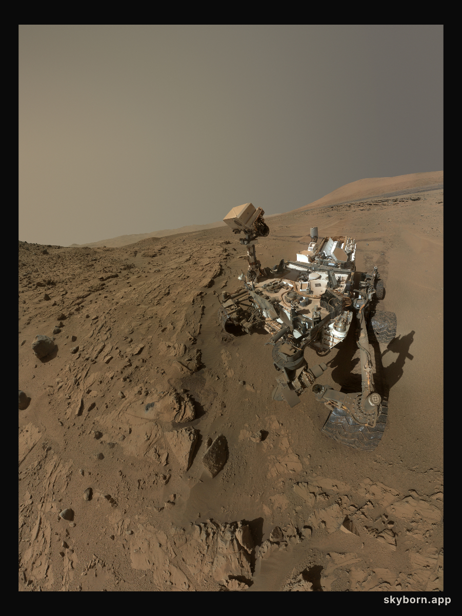 Martian Anniversary Selfie