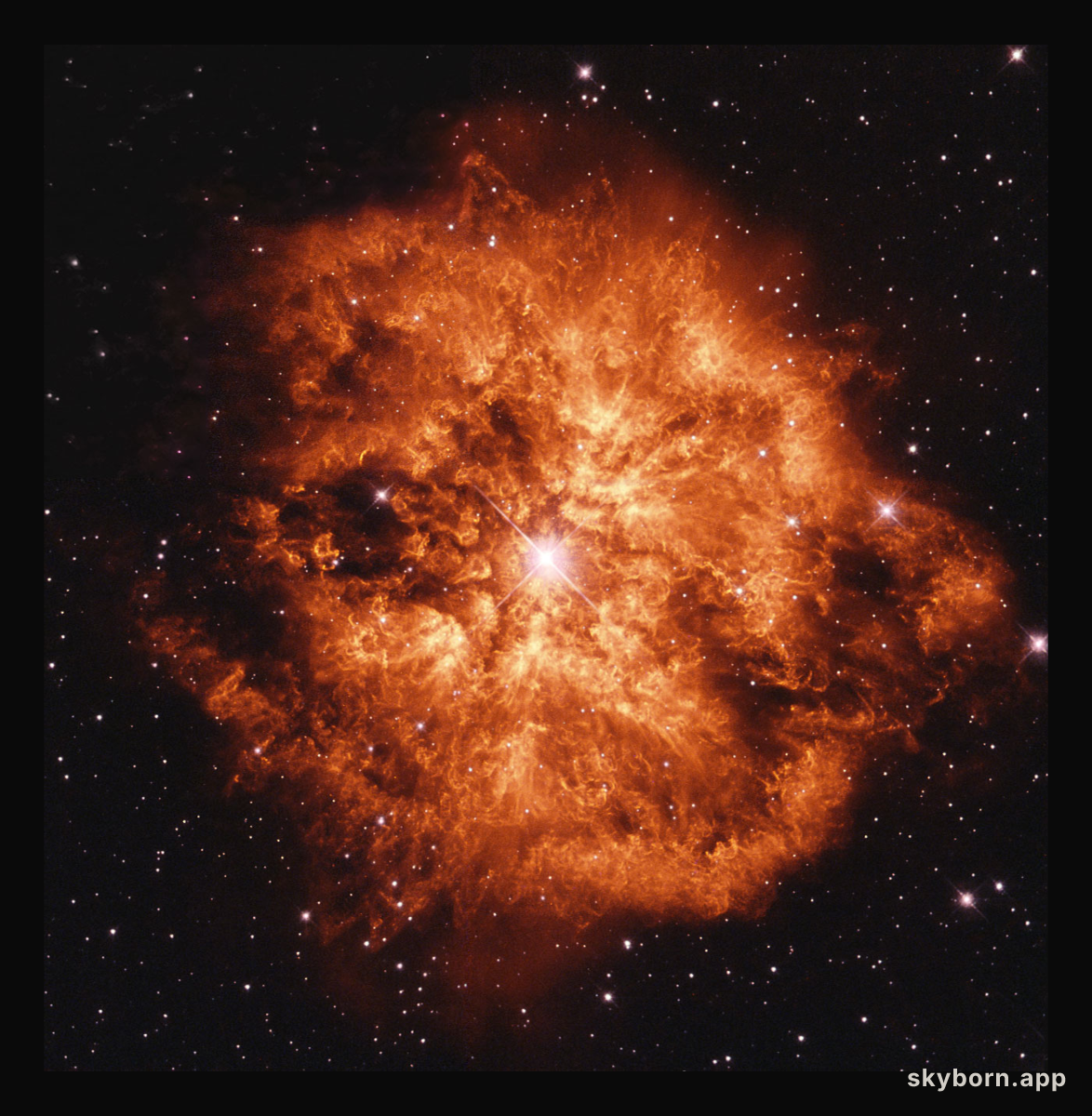 Wolf-Rayet Star 124: Stellar Wind Machine