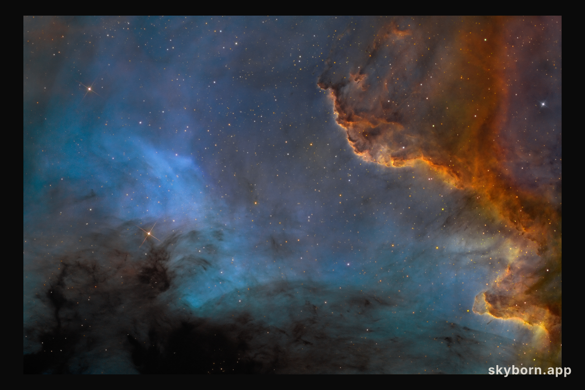 Along the Cygnus Wall