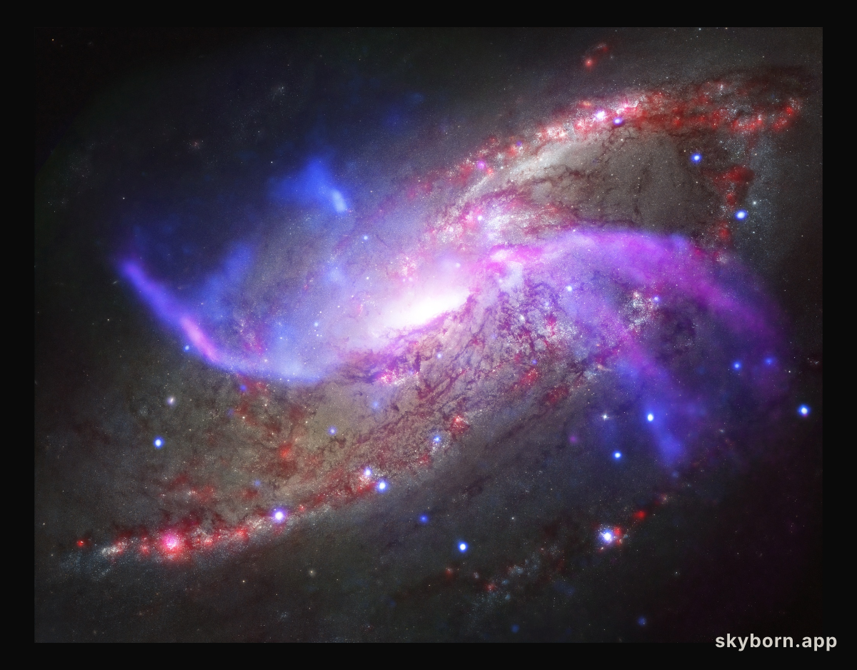 M106 Across the Spectrum