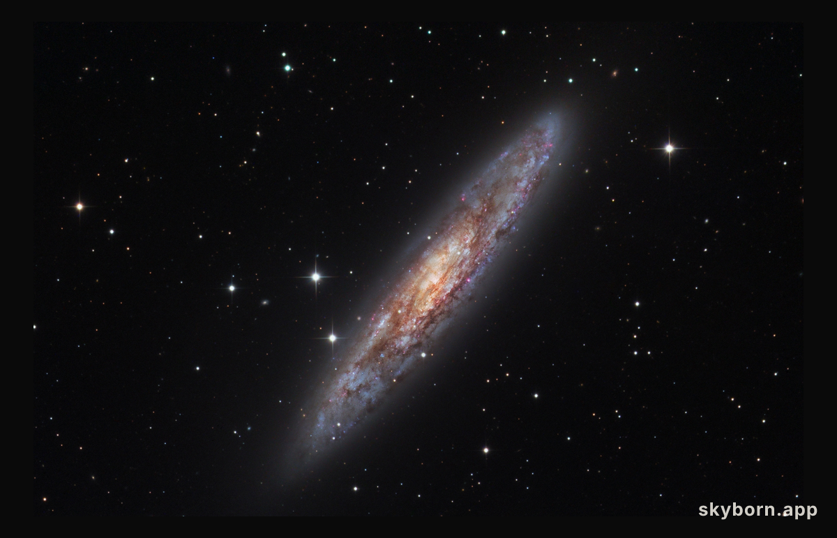 NGC 253: Dusty Island Universe
