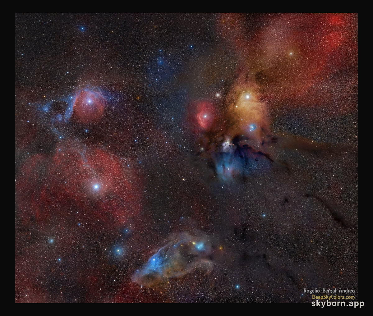 Rho Ophiuchi Wide Field