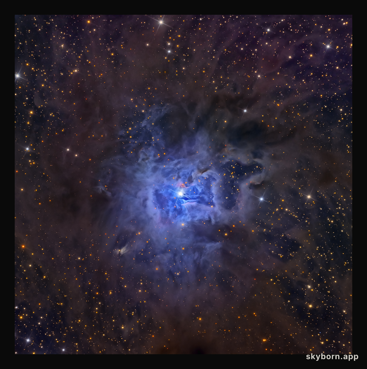 NGC 7023: The Iris Nebula