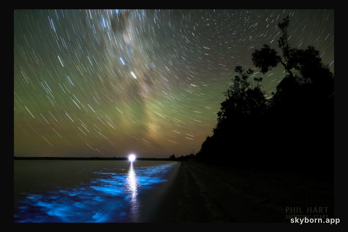 A Luminous Night