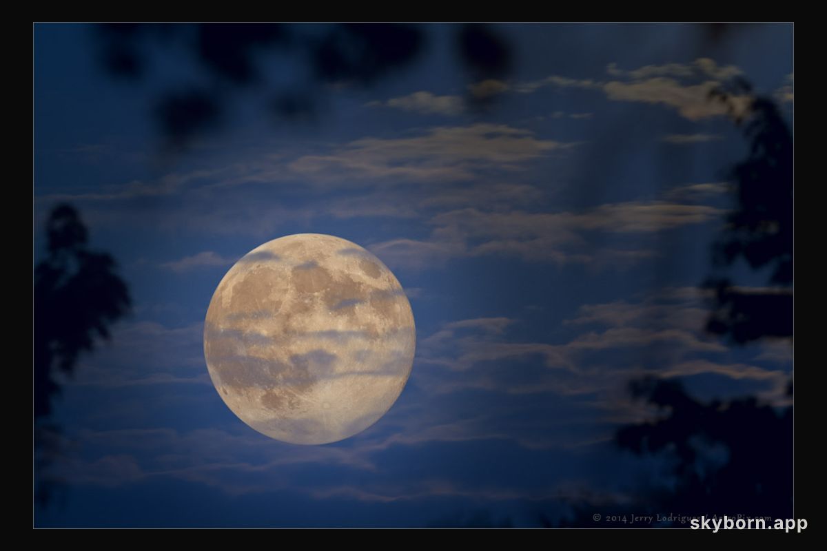 Surreal Moon