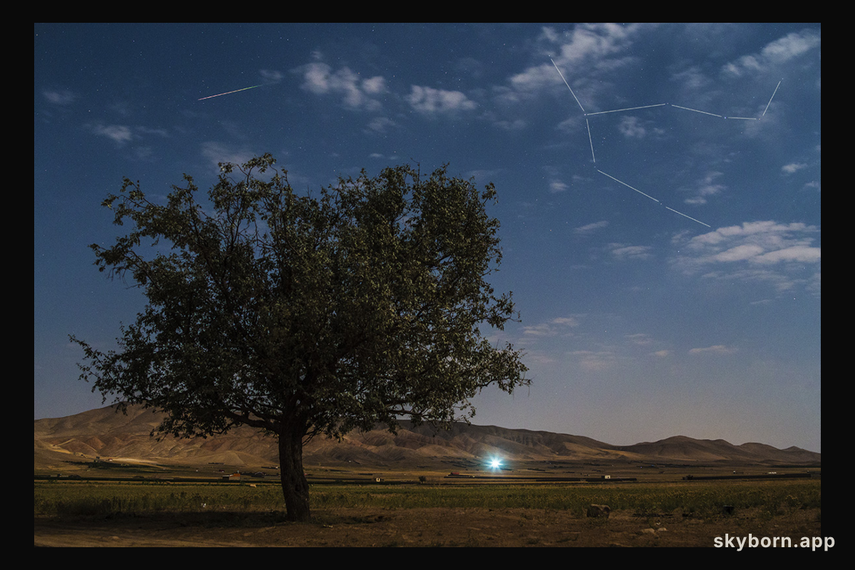 Perseid in Moonlight