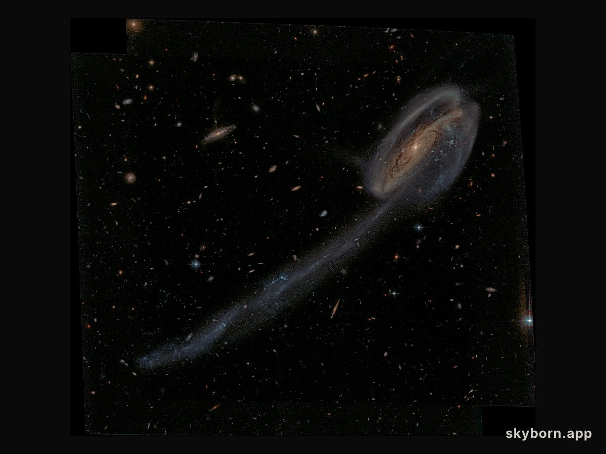 Arp 188 and the Tadpole's Tail