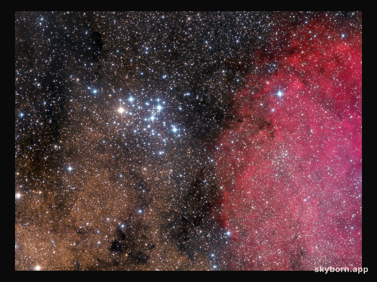 M6: The Butterfly Cluster