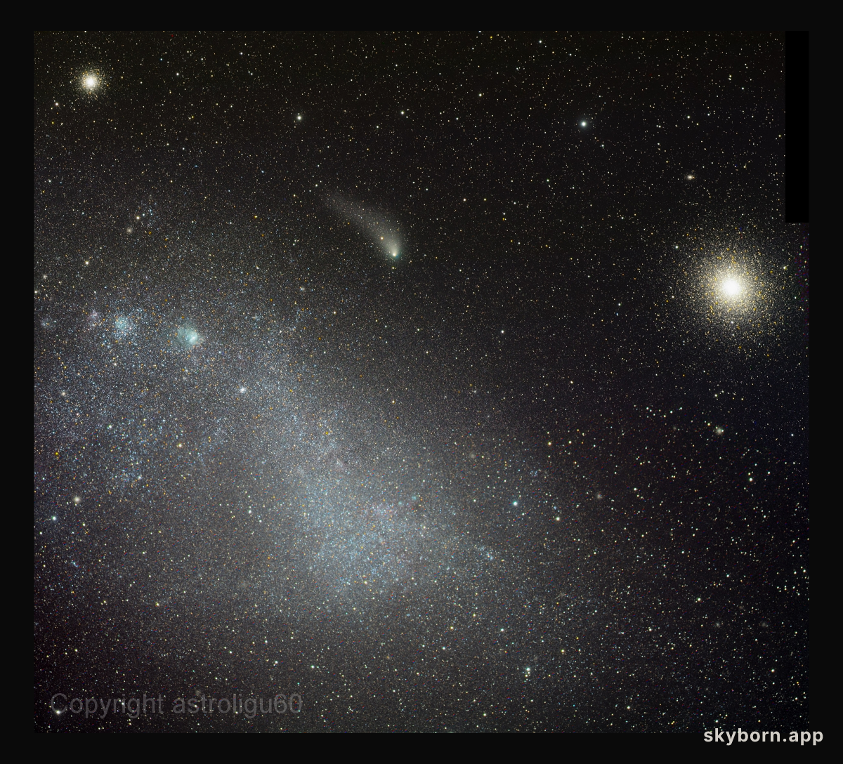Cloud, Clusters and Comet Siding Spring