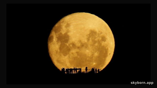 Full Moon Silhouettes