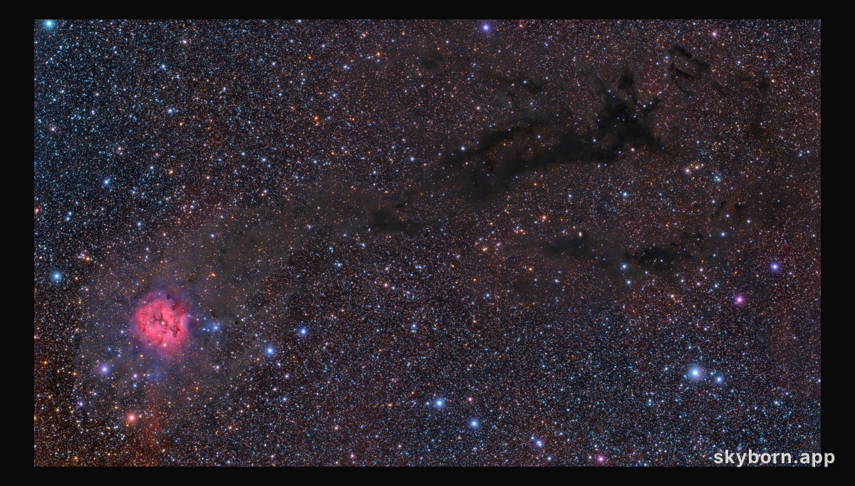 Cocoon Nebula Wide Field