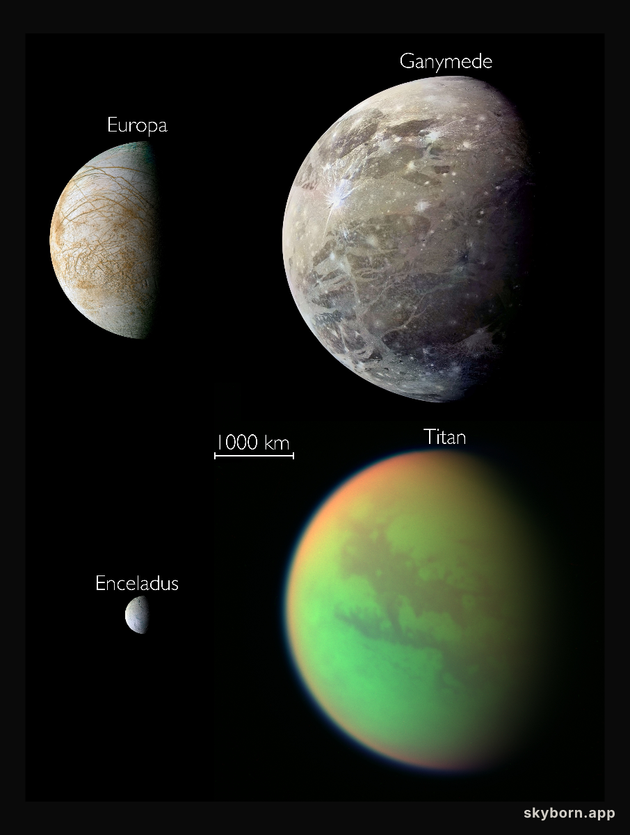 Potentially Habitable Moons