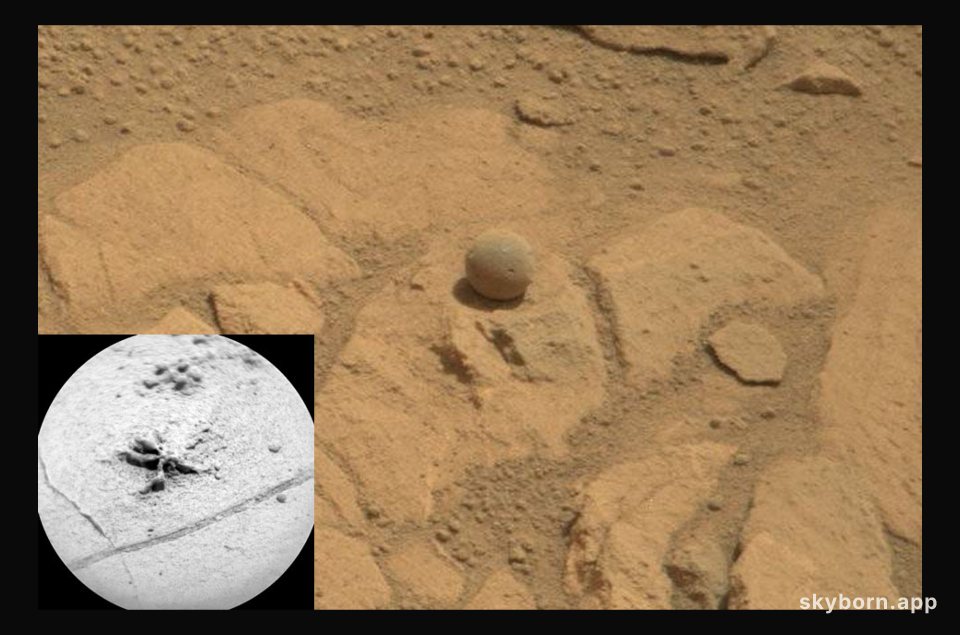 Unusual Rocks near Pahrump Hills on Mars