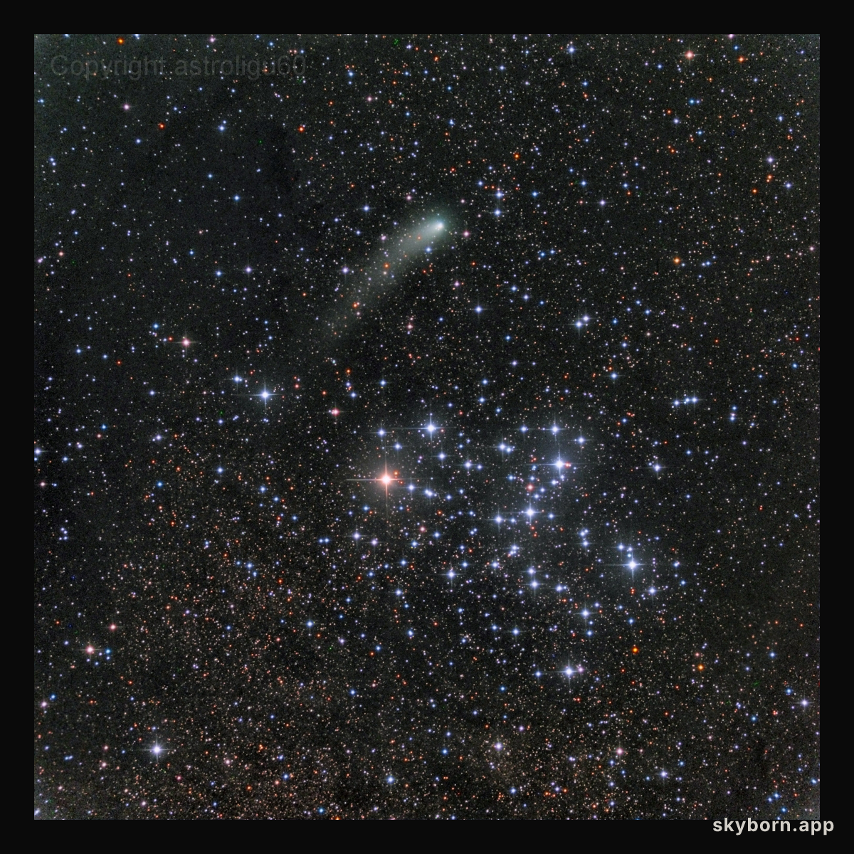 Messier 6 and Comet Siding Spring