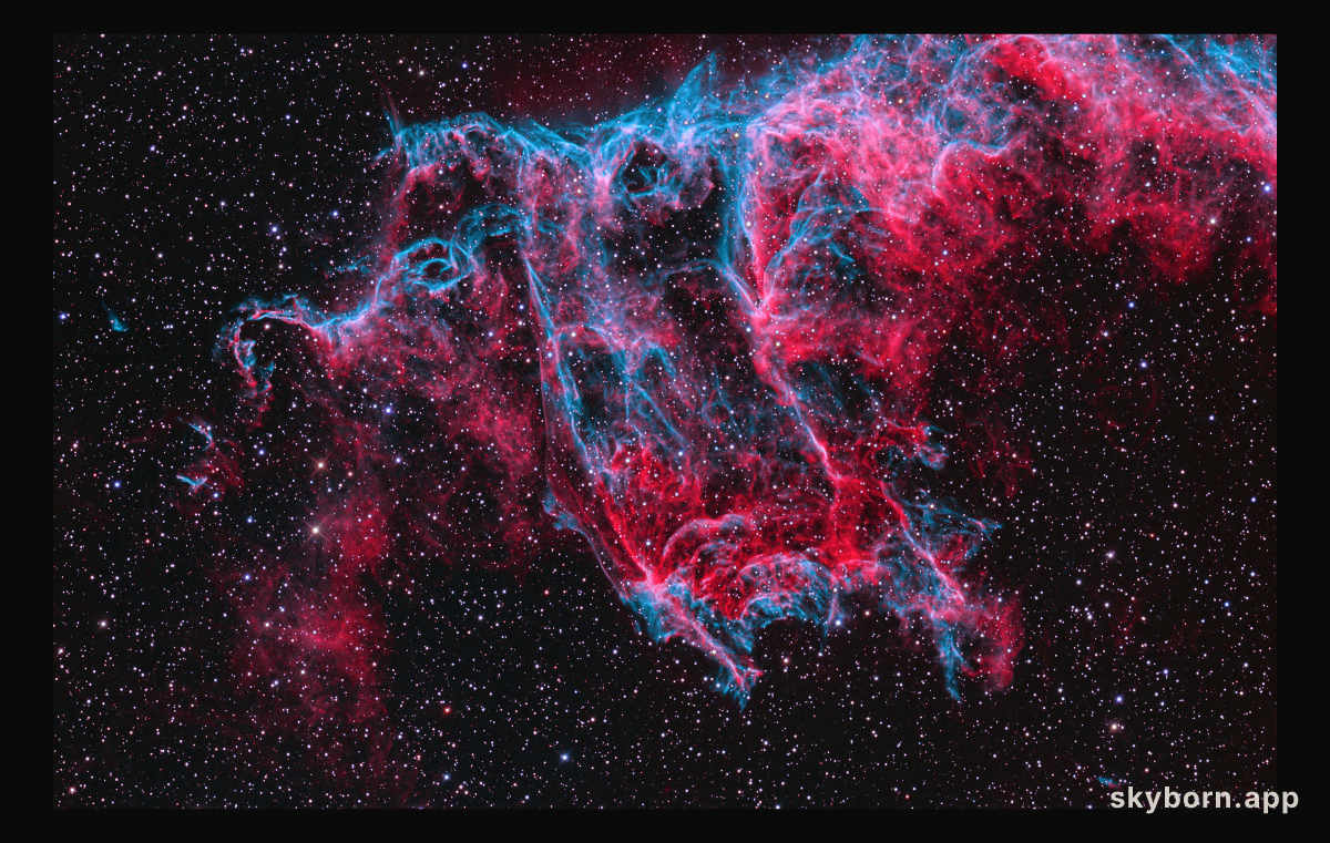A Spectre in the Eastern Veil