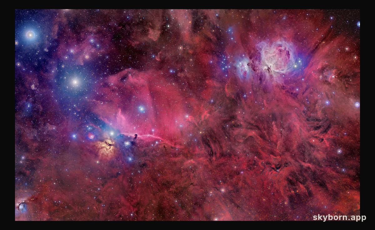 Orion in Gas, Dust, and Stars
