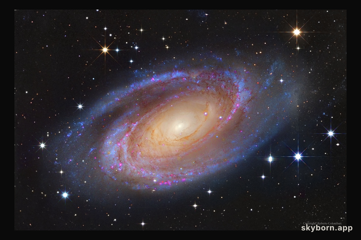 Bright Spiral Galaxy M81