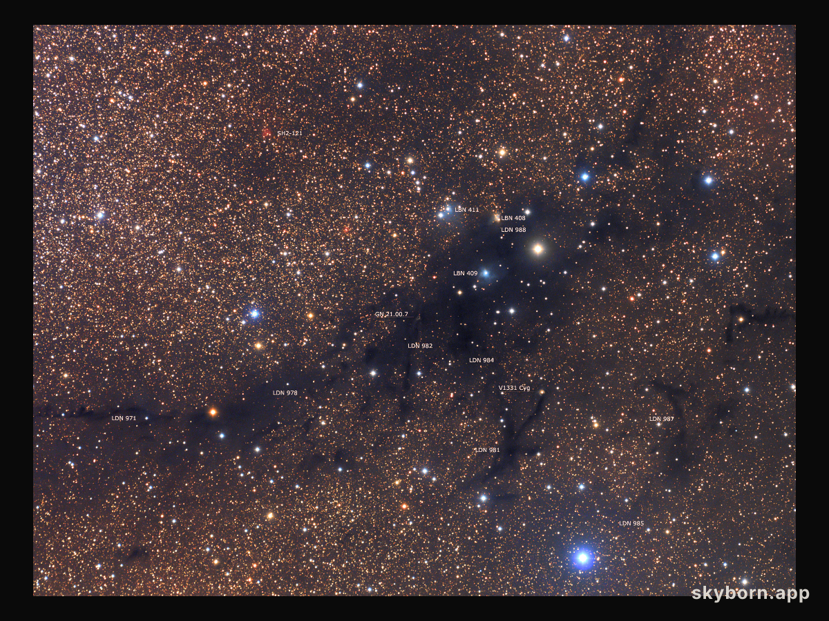 LDN 988: Dark Nebula in Cygnus