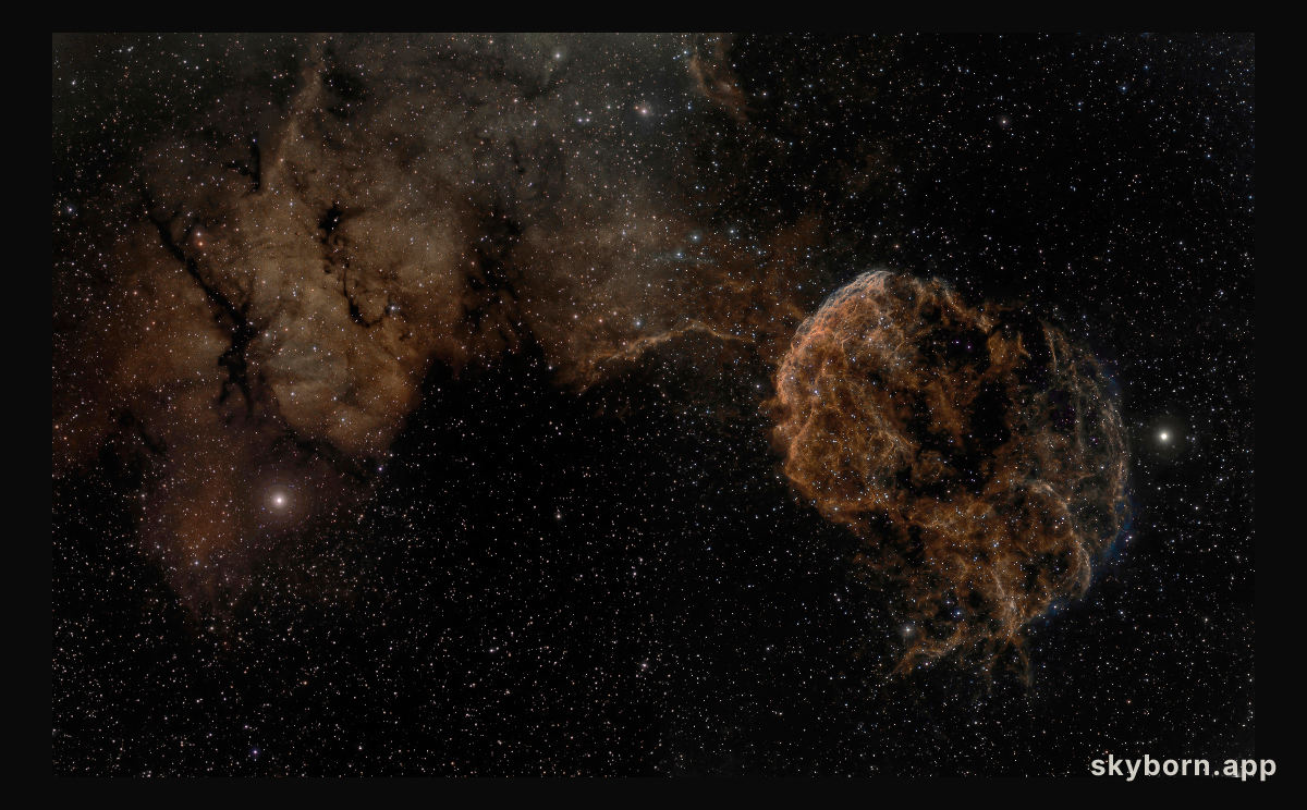 Sharpless 249 and the Jellyfish Nebula