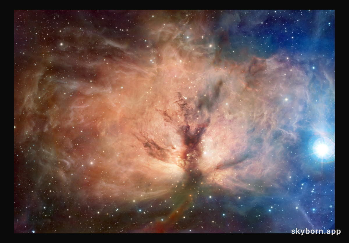 The Flame Nebula in Visible and Infrared