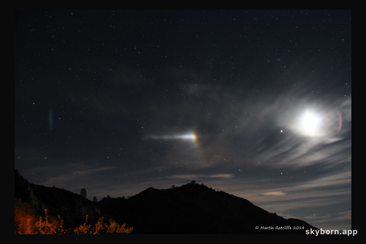 Moondog Night