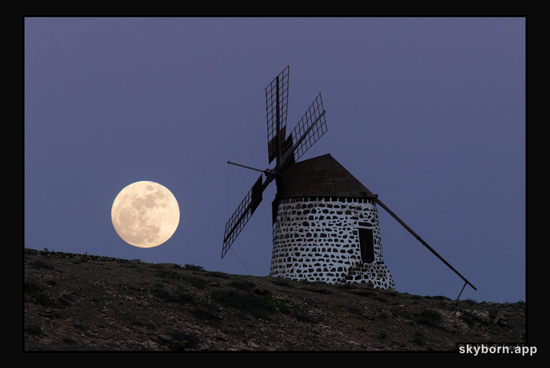 The Windmill's Moon