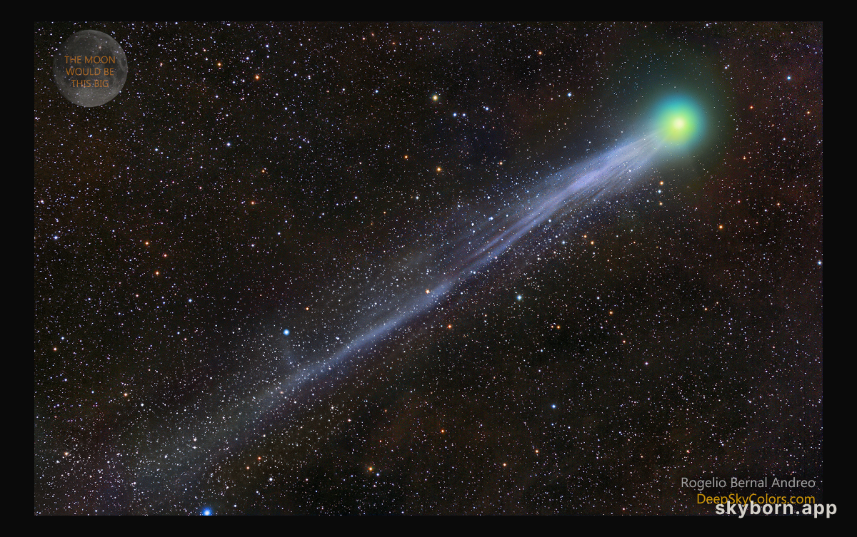 Comet Lovejoy's Tail