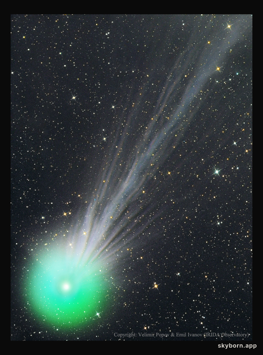 The Complex Ion Tail of Comet Lovejoy