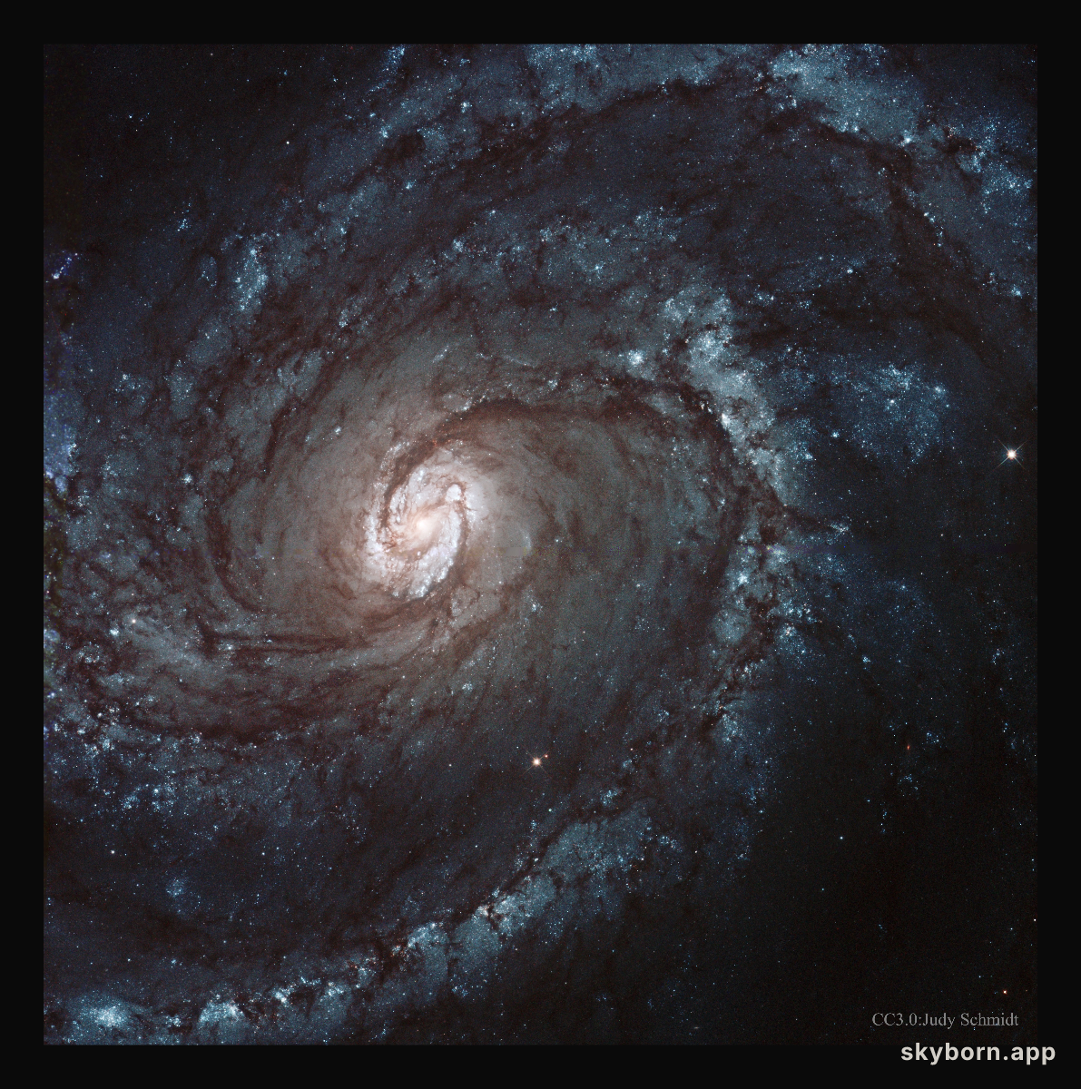 M100: A Grand Design Spiral Galaxy
