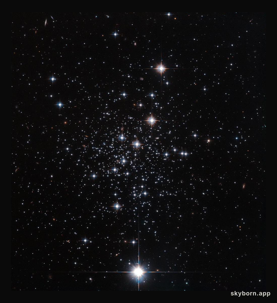 Palomar 12