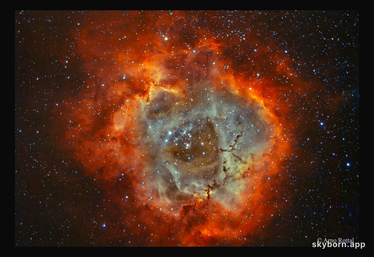 The Rosette Nebula in Hydrogen and Oxygen