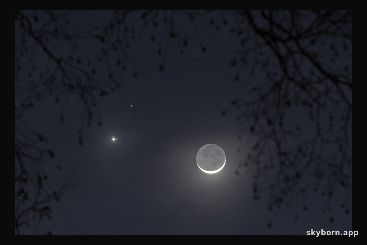Love and War by Moonlight