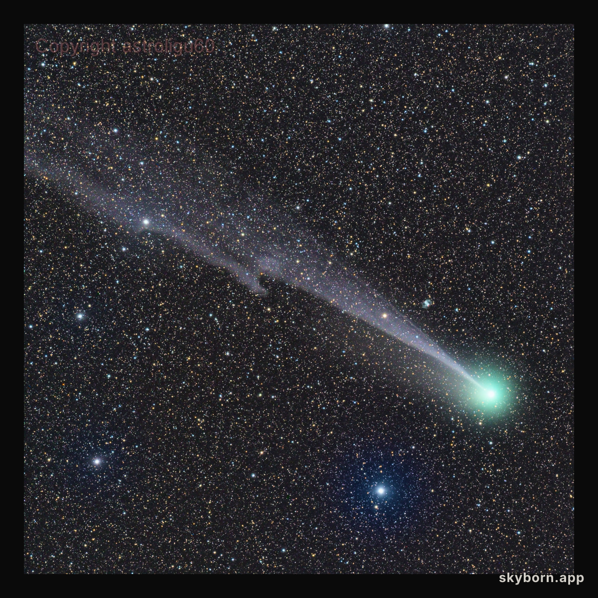 Long Lovejoy and Little Dumbbell