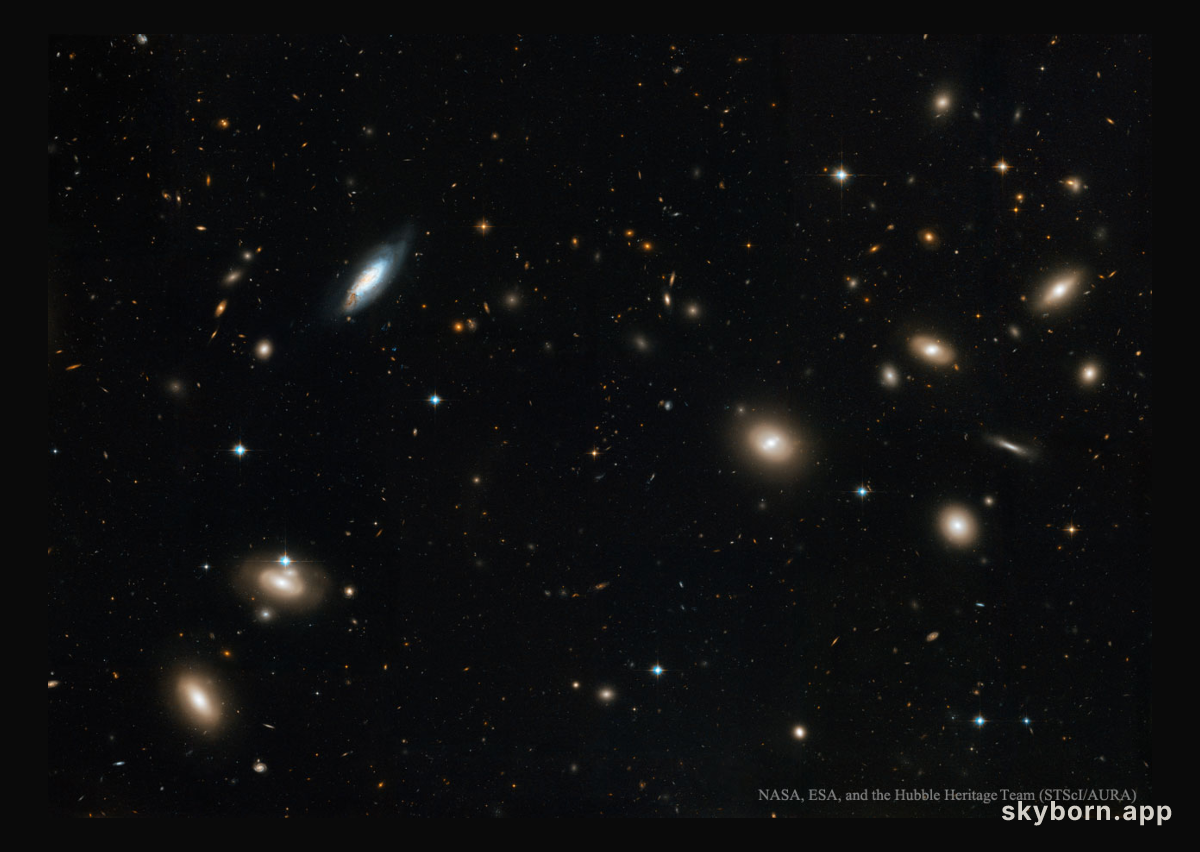 Inside the Coma Cluster of Galaxies