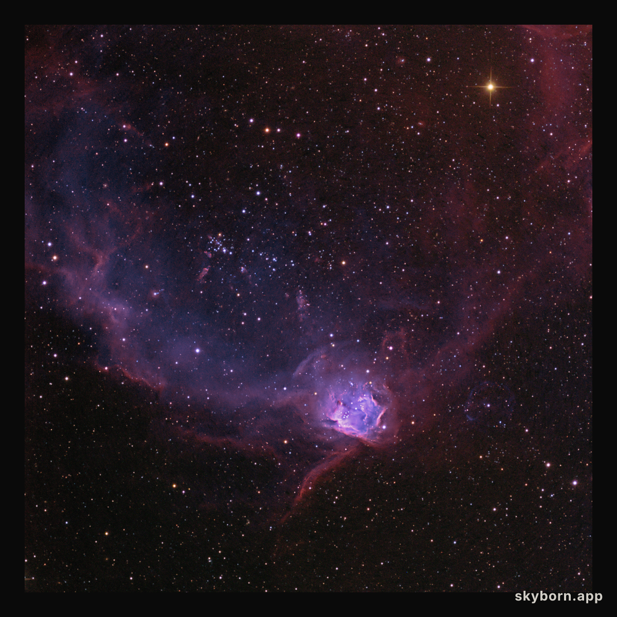 NGC 602 in the Flying Lizard Nebula