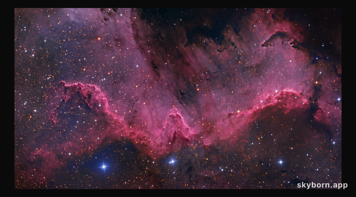 Along the Cygnus Wall