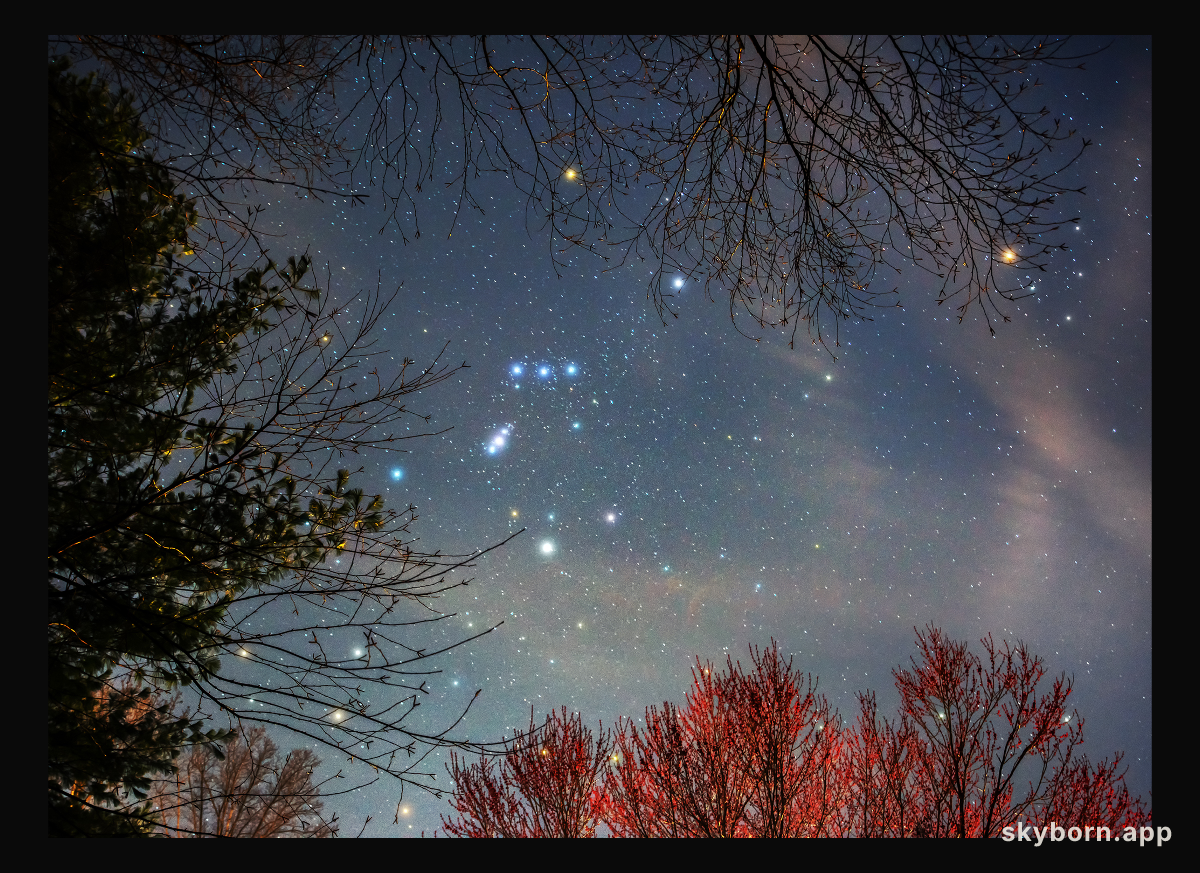 Orion Spring
