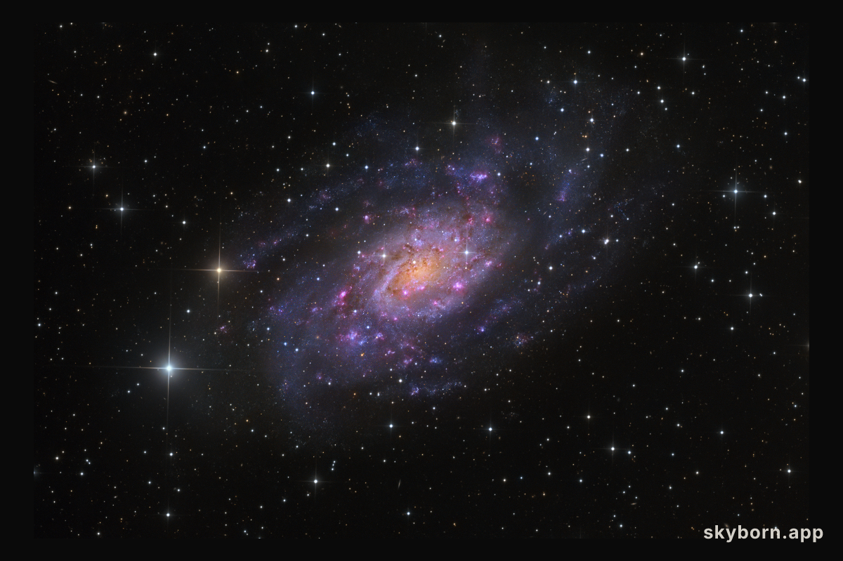 NGC 2403 in Camelopardalis