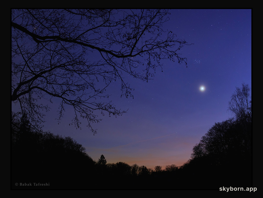 Venus in the West