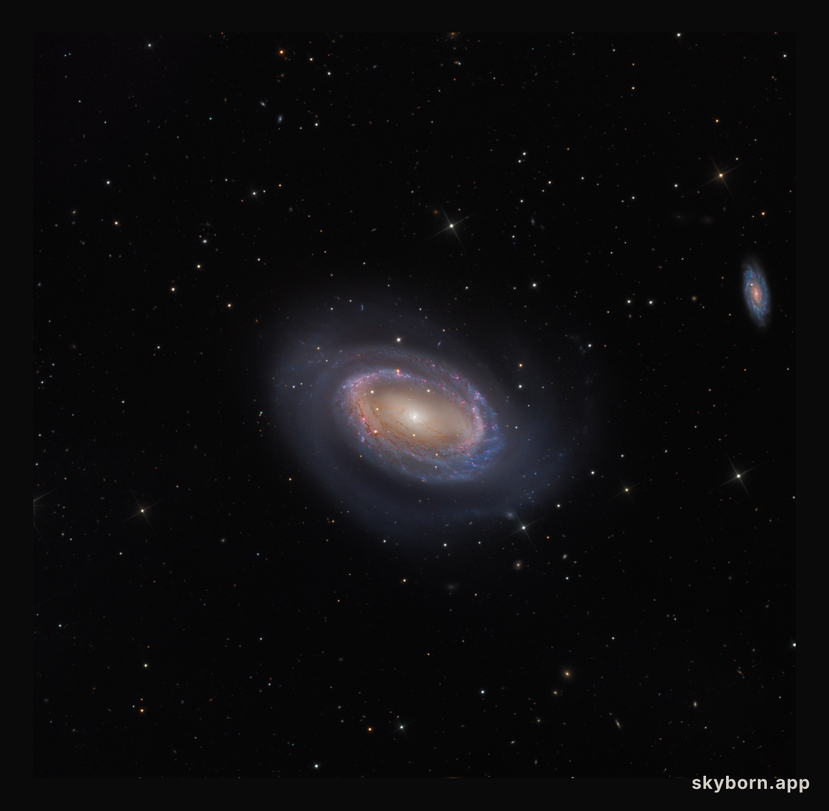 One-Armed Spiral Galaxy NGC 4725